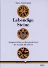 Maria Hildebrandt - Lebendige Steine. Baugeschichte und Baugeschichten der Erzabtei St. Ottilien