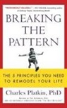 Charles Platkin, Charles PhD Platkin, Charles Platkin Phd - Breaking the Pattern
