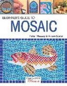 Peter Massey, Alison Slater, Alison Massey Slater - Beginner''s Guide to Mosaic