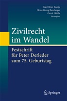 Heinz Georg Bamberger, Hein Georg Bamberger, Heinz Georg Bamberger, Gerrit Hölzle, Kai-Oliver Knops - Zivilrecht im Wandel