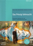Achim Großer, Reinhold Krebs, Burkhard vom Schemm, Burkhard vom Schemm - Das Prinzip Sehnsucht, m. CD-ROM
