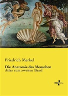 Friedrich Merkel - Die Anatomie des Menschen