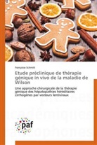 Françoise Schmitt, Schmitt-f - Etude preclinique de therapie