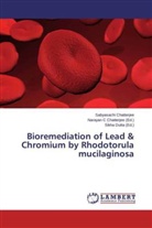 Sabyasachi Chatterjee, Naraya C Chatterjee, Narayan C Chatterjee, Narayan C Chatterjee, Dutta, Dutta... - Bioremediation of Lead & Chromium by Rhodotorula mucilaginosa