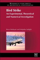 Reza Hedayati, Reza Sadighi Hedayati, Hedayati Reza, Mojtaba Sadighi, Sadighi Mojtaba - Bird Strike