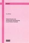 Eva Möhler - Determinanten der emotionalen Entwicklung in der frühen Kindheit