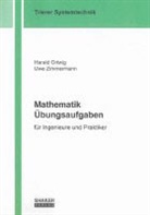 Haral Ortwig, Harald Ortwig, Uwe Zimmermann - Mathematik Übungsaufgaben