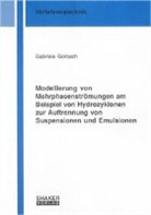 Gabriele Gorbach - Modellierung von Mehrphasenströmungen am Beispiel von Hydrozyklonen zur Auftrennung von Suspensionen und Emulsionen