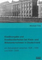 Michael Fritz - Kreditvergabe und Kreditsicherheiten bei Klein- und Mittelunternehmen in Deutschland