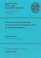 Jens Ortmanns - Aktive Grenzschichtbeeinflussung mittels pneumatischer Wirbelgeneratoren bei großen Reynoldszahlen