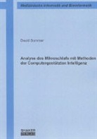 David Sommer - Analyse des Mikroschlafs mit Methoden der Computergestützten Intelligenz