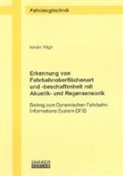 István Végh - Erkennung von Fahrbahnoberflächenart und -beschaffenheit mit Akustik- und Regensensorik