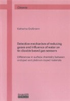 Katharina Grossmann - Detection mechanism of reducing gases and influence of water on tin dioxide based gas sensors