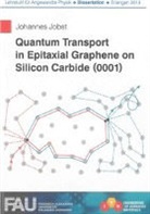 Johannes Jobst - Quantum Transport in Epitaxial Graphene on Silicon Carbide (0001)