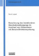 David Lejsek - Berechnung des instationären Wandwärmeübergangs im Hochlauf von Ottomotoren mit Benzin-Direkteinspritzung