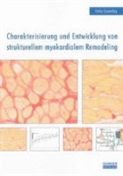 Thomas F Gramley - Charakterisierung und Entwicklung von strukturellem myokardialem Remodeling