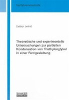 Dalibor Jerenic - Theoretische und experimentelle Untersuchungen zur partiellen Kondensation von Triethylenglykol in einer Ferngasleitung