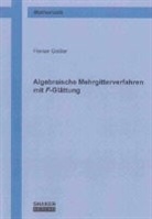 Florian Gossler - Algebraische Mehrgitterverfahren mit F-Glättung