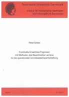 Peter Göbel - Punktuelle Ensemble-Prognosen mit Methoden des Maschinellen Lernens für die operationelle Grundwasserbewirtschaftung