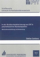Stefan Gerkens - In-situ Strukturcharakterisierung von CNT in polymerbasierten Nanokompositen