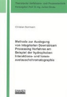 Christian Borrmann - Methode zur Auslegung von integrierten Downstream Processing Verfahren am Beispiel der hydrophoben Interaktions- und Ionenaustauschchromatographie