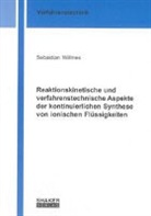 Sebastian Willmes - Reaktionskinetische und verfahrenstechnische Aspekte der kontinuierlichen Synthese von ionischen Flüssigkeiten