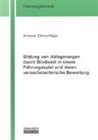 Andreas Ellenschläger - Bildung von Ablagerungen durch Biodiesel in einem Führungsspiel und deren versuchstechnische Bewertung