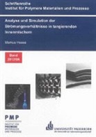Markus Heße - Analyse und Simulation der Strömungsverhältnisse in tangierenden Innenmischern