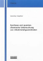 Veronika Hoepfner - Synthese und quantenchemische Untersuchung von Alkalimetallguanidinaten