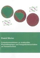 Daniel Mutter - Computersimulationen zu strukturellen Phasenübergängen und Formgedächtnisverhalten auf Nanometerskala