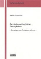 Markus Rossmeissl - Zerstäubung überhitzter Flüssigkeiten