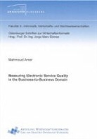 Mahmoud Amer - Measuring Electronic Service Quality in the Business-to-Business Domain