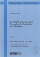 David Bommes - Quadrilateral Surface Mesh Generation for Animation and Simulation