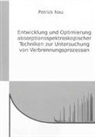 Patrick Nau - Entwicklung und Optimierung absorptionsspektroskopischer Techniken zur Untersuchung von Verbrennungsprozessen