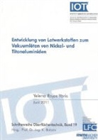 Yelena Rojas Yoris - Entwicklung von Lotwerkstoffen zum Vakuumlöten von Nickel- und Titanaluminiden