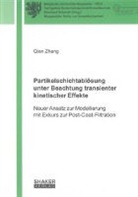 Qian Zhang - Partikelschichtablösung unter Beachtung transienter kinetischer Effekte