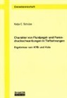 Katja C Schulze - Charakter von Fluidpegel- und Porendruckschwankungen in Tiefbohrungen