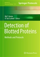 Hal Scofield, Hal Scofield, Biji T. Kurien, R. Hal Scofield, Bij T Kurien, Biji T Kurien - Detection of Blotted Proteins