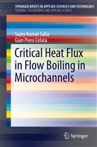 Gian P. Celata, Gian Piero Celata, Sujoy Kuma Saha, Sujoy Kumar Saha - Critical Heat Flux in Flow Boiling in Microchannels