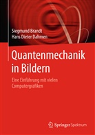 Siegmun Brandt, Siegmund Brandt, Hans D. Dahmen, Hans Dieter Dahmen - Quantenmechanik in Bildern