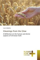 Louis Saldanha - Gleanings from the Glow