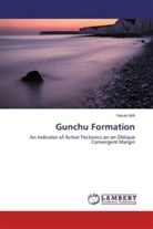 Yasuto Itoh - Gunchu Formation