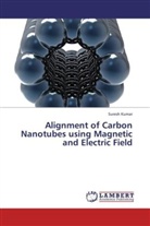 Suresh Kumar - Alignment of Carbon Nanotubes using Magnetic and Electric Field