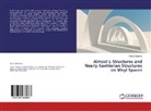 Fatma Özdemir - Almost L-Structures and Nearly Kaehlerian Structures on Weyl Spaces