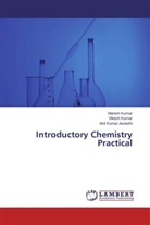 Anil Kumar Awasthi, Manis Kumar, Manish Kumar, Vikes Kumar, Vikesh Kumar - Introductory Chemistry Practical