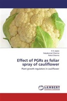 R Jadon, R S Jadon, Rahul sharma, Satyakumar Sharma, Satyakumari Sharma - Effect of PGRs as foliar spray of cauliflower