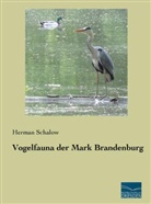 Herman Schalow - Vogelfauna der Mark Brandenburg
