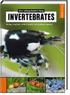 Chri Lukhaup, Chris Lukhaup, Reinhard Pekny - Invertebrates