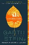 Garth Stein - A Sudden Light