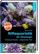 Daniel Knop - Riffaquaristik für Einsteiger